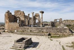 Image du Maroc Professionnelle de  Les touristes se rassemblent autour des arches de la basilique, le principal bâtiment administratif de Volubilis.
Le site de Volubilis est l'un des sites les mieux préservés au Maroc et le plus visité. La cité romaine se situe à proximité de Moulay Idriss Zerhoun à une trentaine de km au nord-ouest de Meknès, photo prise le jeudi 8 Mars 2012. Volubilis ville antique berbère Walili (Lauriers rose) qui date du 3e siècle avant J.-C. capitale du royaume de Maurétanie fondé comme seconde capital sous le règne de Juba II. (Photo / Abdeljalil Bounhar)
 